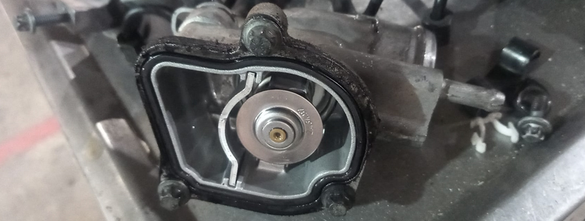 Servicio de Mecánica del Motor para vehículos en Gandia